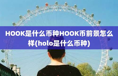 HOOK是什么币种HOOK币前景怎么样(holo是什么币种)