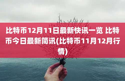 比特币12月11日最新快讯一览 比特币今日最新简讯(比特币11月12月行情)