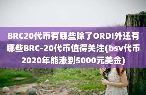 BRC20代币有哪些除了ORDI外还有哪些BRC-20代币值得关注(bsv代币2020年能涨到5000元美金)