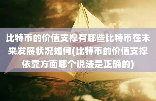 比特币的价值支撑有哪些比特币在未来发展状况如何(比特币的价值支撑依靠方面哪个说法是正确的)