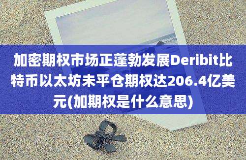 加密期权市场正蓬勃发展Deribit比特币以太坊未平仓期权达206.4亿美元(加期权是什么意思)