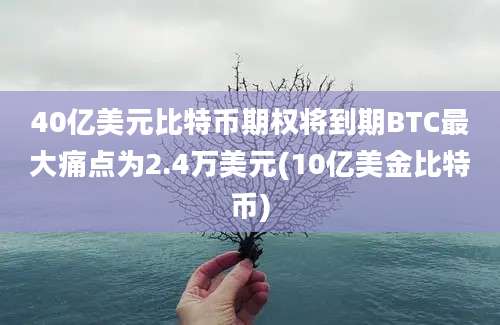 40亿美元比特币期权将到期BTC最大痛点为2.4万美元(10亿美金比特币)