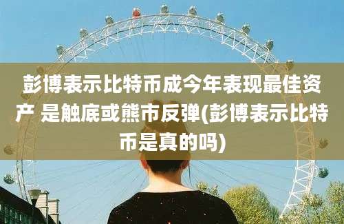 彭博表示比特币成今年表现最佳资产 是触底或熊市反弹(彭博表示比特币是真的吗)