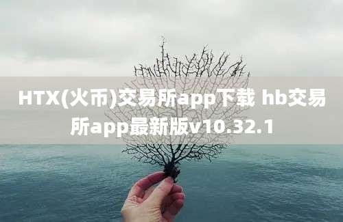 HTX(火币)交易所app下载 hb交易所app最新版v10.32.1