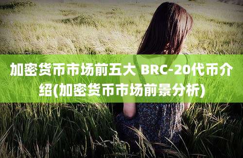 加密货币市场前五大 BRC-20代币介绍(加密货币市场前景分析)