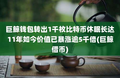 巨鲸钱包转出1千枚比特币休眠长达11年如今价值已暴涨逾5千倍(巨鲸借币)