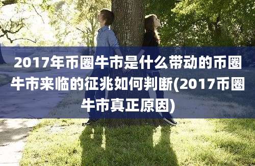 2017年币圈牛市是什么带动的币圈牛市来临的征兆如何判断(2017币圈牛市真正原因)