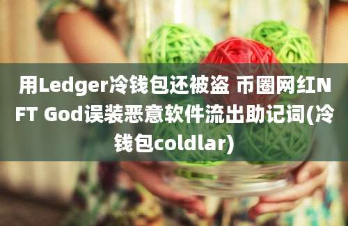 用Ledger冷钱包还被盗 币圈网红NFT God误装恶意软件流出助记词(冷钱包coldlar)