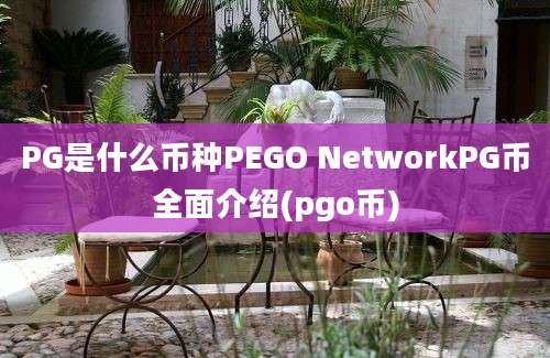 PG是什么币种PEGO NetworkPG币全面介绍(pgo币)