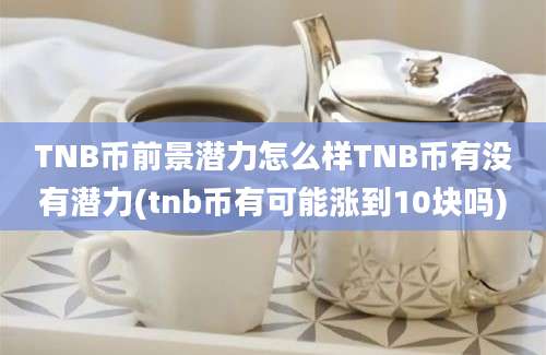 TNB币前景潜力怎么样TNB币有没有潜力(tnb币有可能涨到10块吗)