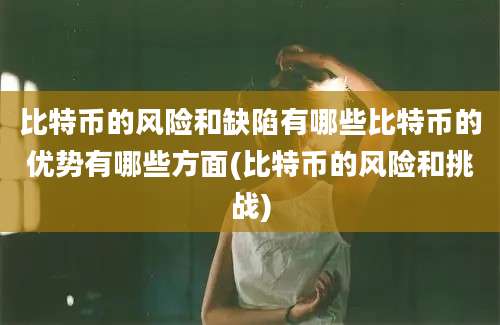 比特币的风险和缺陷有哪些比特币的优势有哪些方面(比特币的风险和挑战)