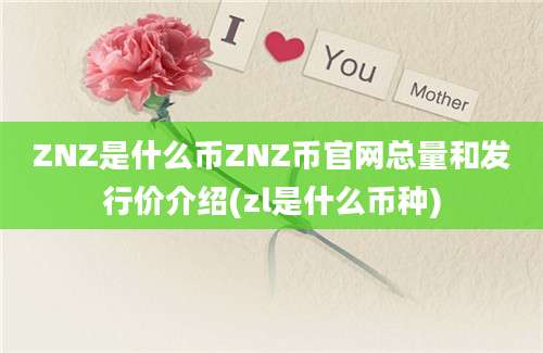 ZNZ是什么币ZNZ币官网总量和发行价介绍(zl是什么币种)