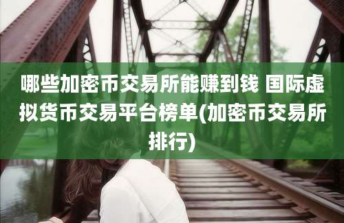 哪些加密币交易所能赚到钱 国际虚拟货币交易平台榜单(加密币交易所排行)