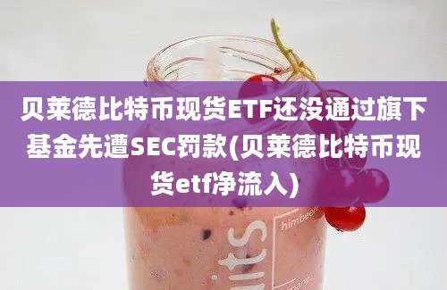 贝莱德比特币现货ETF还没通过旗下基金先遭SEC罚款(贝莱德比特币现货etf净流入)