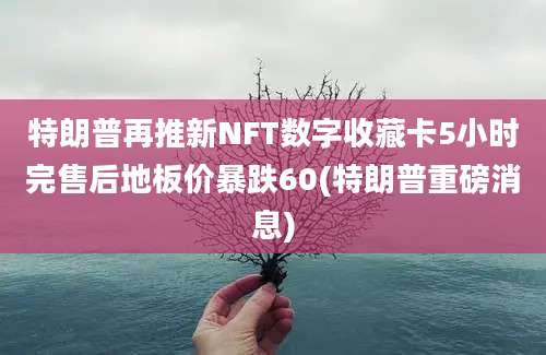 特朗普再推新NFT数字收藏卡5小时完售后地板价暴跌60(特朗普重磅消息)