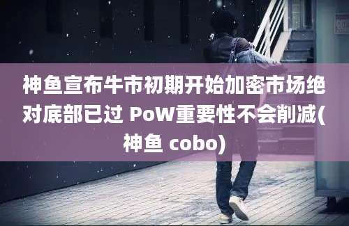 神鱼宣布牛市初期开始加密市场绝对底部已过 PoW重要性不会削减(神鱼 cobo)