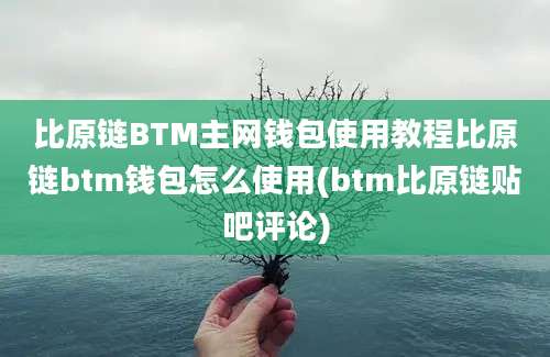 比原链BTM主网钱包使用教程比原链btm钱包怎么使用(btm比原链贴吧评论)