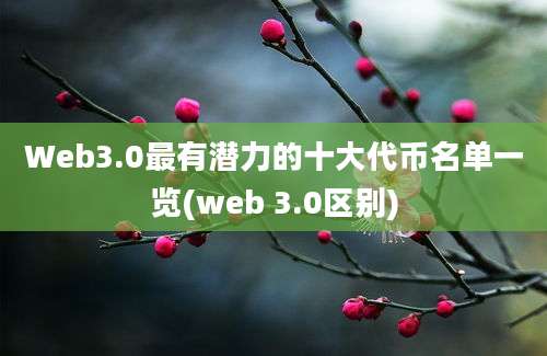 Web3.0最有潜力的十大代币名单一览(web 3.0区别)