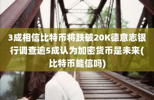 3成相信比特币将跌破20K德意志银行调查逾5成认为加密货币是未来(比特币能信吗)