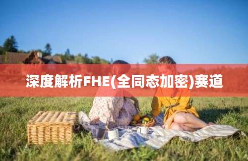 深度解析FHE(全同态加密)赛道