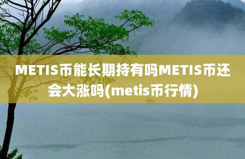 METIS币能长期持有吗METIS币还会大涨吗(metis币行情)