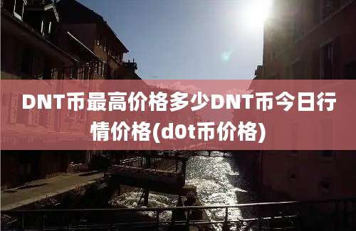 DNT币最高价格多少DNT币今日行情价格(d0t币价格)