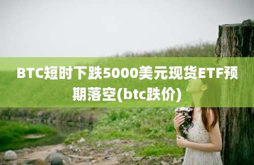 BTC短时下跌5000美元现货ETF预期落空(btc跌价)