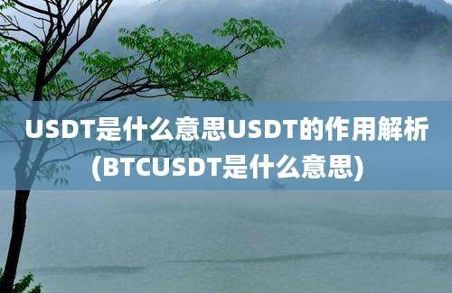 USDT是什么意思USDT的作用解析(BTCUSDT是什么意思)