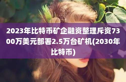 2023年比特币矿企融资整理斥资7300万美元部署2.5万台矿机(2030年比特币)