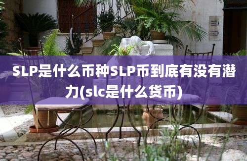 SLP是什么币种SLP币到底有没有潜力(slc是什么货币)