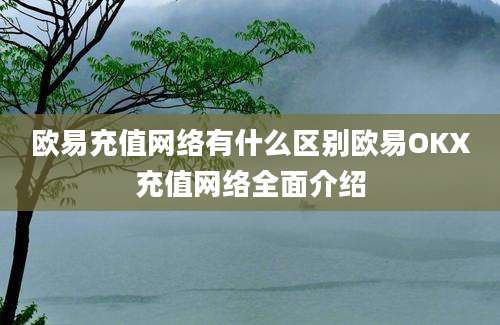 欧易充值网络有什么区别欧易OKX充值网络全面介绍