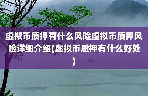 虚拟币质押有什么风险虚拟币质押风险详细介绍(虚拟币质押有什么好处)