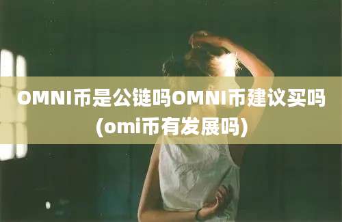 OMNI币是公链吗OMNI币建议买吗(omi币有发展吗)