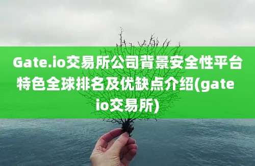 Gate.io交易所公司背景安全性平台特色全球排名及优缺点介绍(gate io交易所)