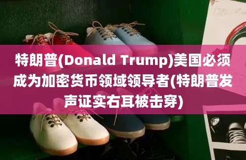 特朗普(Donald Trump)美国必须成为加密货币领域领导者(特朗普发声证实右耳被击穿)