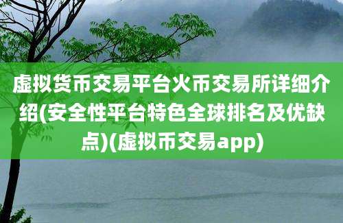 虚拟货币交易平台火币交易所详细介绍(安全性平台特色全球排名及优缺点)(虚拟币交易app)