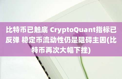 比特币已触底 CryptoQuant指标已反弹 稳定币流动性仍是阻碍主因(比特币再次大幅下挫)