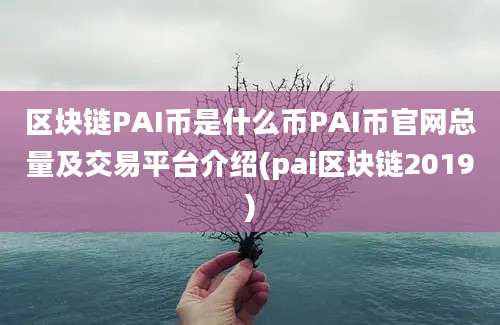 区块链PAI币是什么币PAI币官网总量及交易平台介绍(pai区块链2019)