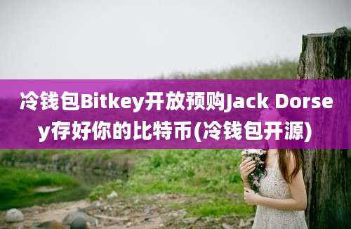 冷钱包Bitkey开放预购Jack Dorsey存好你的比特币(冷钱包开源)