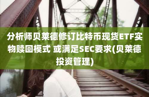 分析师贝莱德修订比特币现货ETF实物赎回模式 或满足SEC要求(贝莱德投资管理)