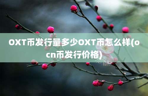 OXT币发行量多少OXT币怎么样(ocn币发行价格)