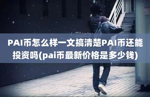 PAI币怎么样一文搞清楚PAI币还能投资吗(pai币最新价格是多少钱)