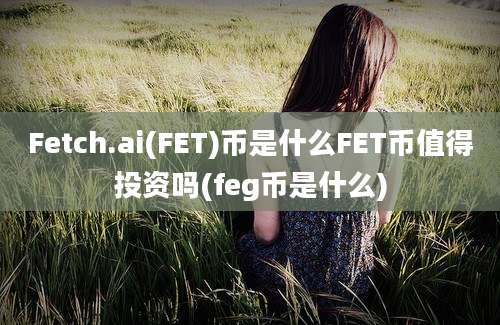 Fetch.ai(FET)币是什么FET币值得投资吗(feg币是什么)