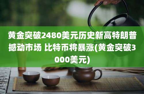 黄金突破2480美元历史新高特朗普撼动市场 比特币将暴涨(黄金突破3000美元)