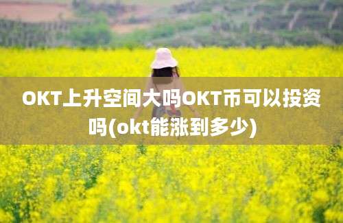 OKT上升空间大吗OKT币可以投资吗(okt能涨到多少)