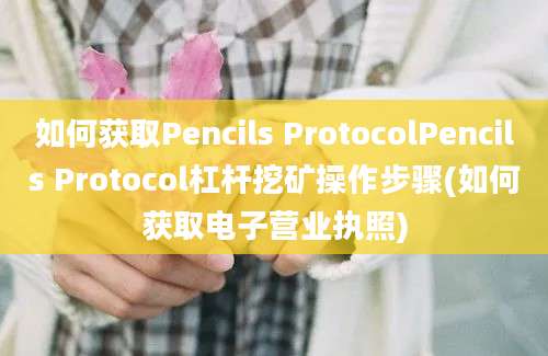 如何获取Pencils ProtocolPencils Protocol杠杆挖矿操作步骤(如何获取电子营业执照)