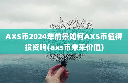 AXS币2024年前景如何AXS币值得投资吗(axs币未来价值)