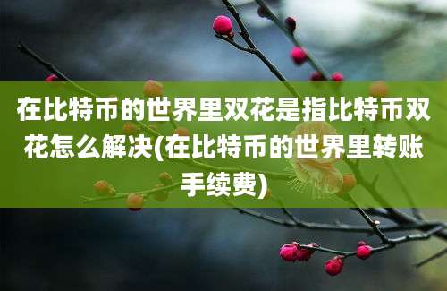 在比特币的世界里双花是指比特币双花怎么解决(在比特币的世界里转账手续费)