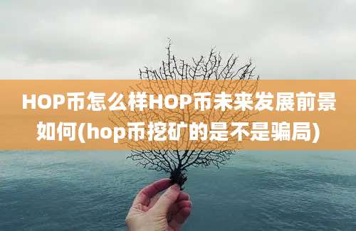 HOP币怎么样HOP币未来发展前景如何(hop币挖矿的是不是骗局)