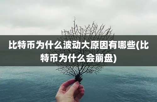 比特币为什么波动大原因有哪些(比特币为什么会崩盘)